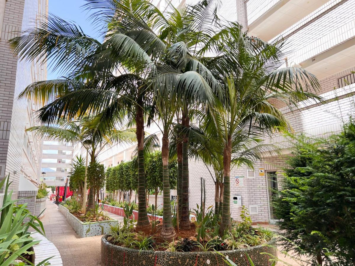 Apartamento Deluxe Jardin Oropesa del Mar Ngoại thất bức ảnh